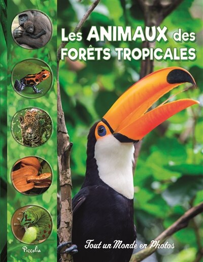 Couverture_Les animaux des forêts tropicales