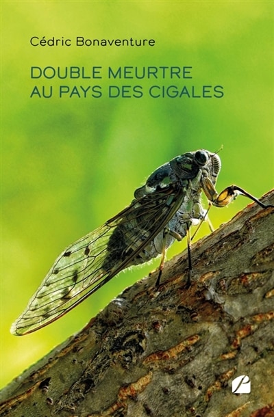 Front cover_Double meurtre au pays des cigales