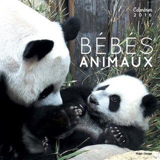 Front cover_Bébés animaux