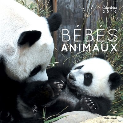 Front cover_Bébés animaux