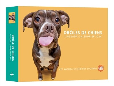 Front cover_Drôles de chiens
