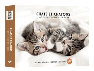 Front cover_Chats et chatons
