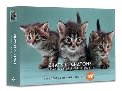 Front cover_Chats et chatons : l'agenda-calendrier 2025