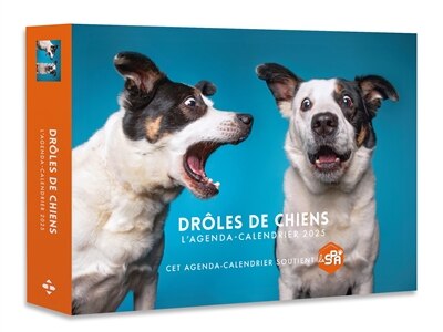 Front cover_Drôles de chiens : l'agenda-calendrier 2025
