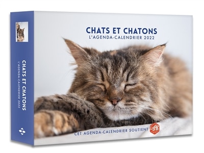 Couverture_Chats et chatons