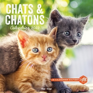 Couverture_Chats & chatons