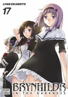 Couverture_Brynhildr in the darkness, Vol. 17