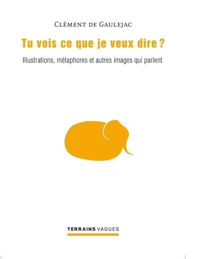 Couverture_Tu vois ce que je veux dire ?