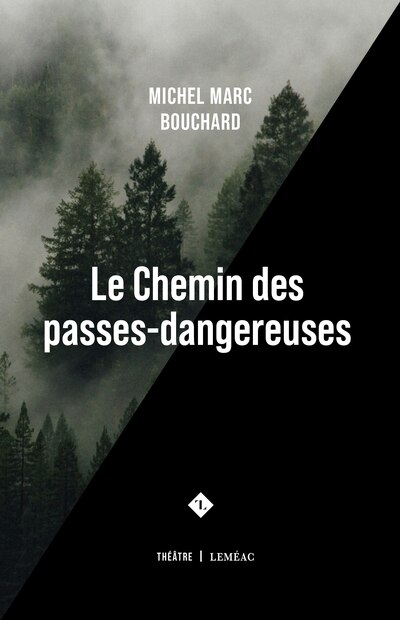 Front cover_Le Chemin des passes-dangereuses : tragédie routière