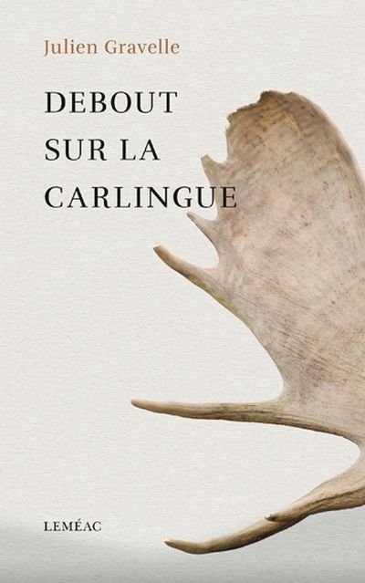 Couverture_Debout sur la carlingue