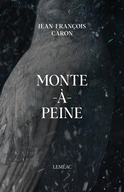 Couverture_Monte-&agrave;-Peine