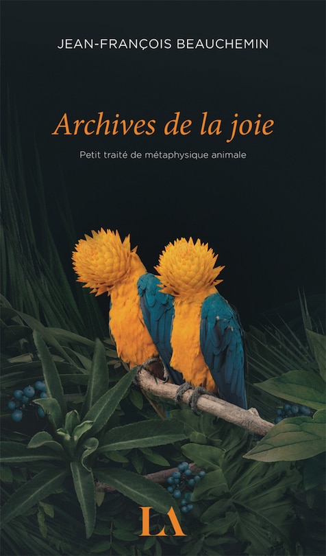 Couverture_Archives de la joie