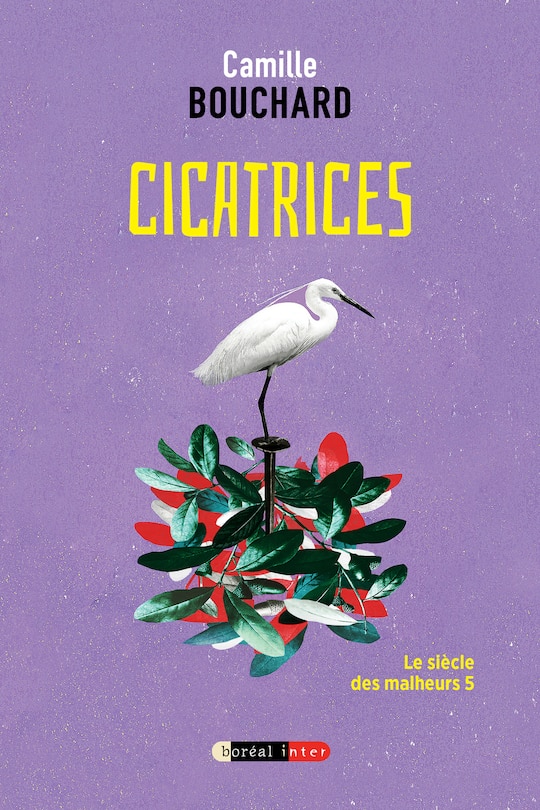 Couverture_Cicatrices