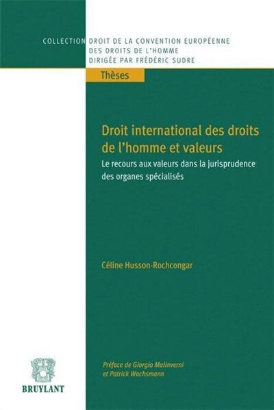 Couverture_Droit international des droits de l'homme et valeurs