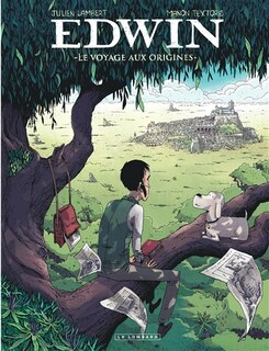 Couverture_Le voyage aux origines