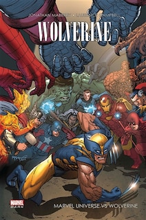 Wolverine: Marvel universe vs Wolverine