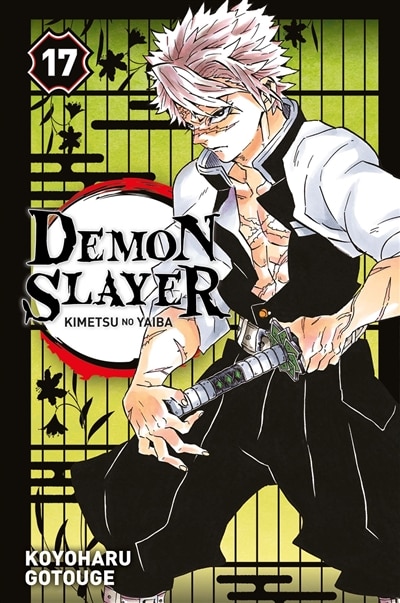 Front cover_Demon Slayer T17