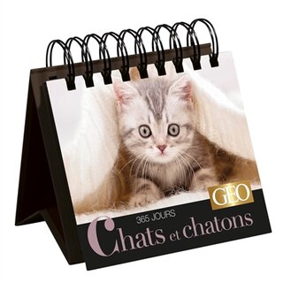 Front cover_Chats et chatons : 365 jours