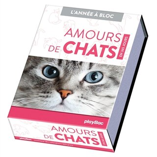 Front cover_Amours de chats