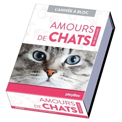 Front cover_Amours de chats