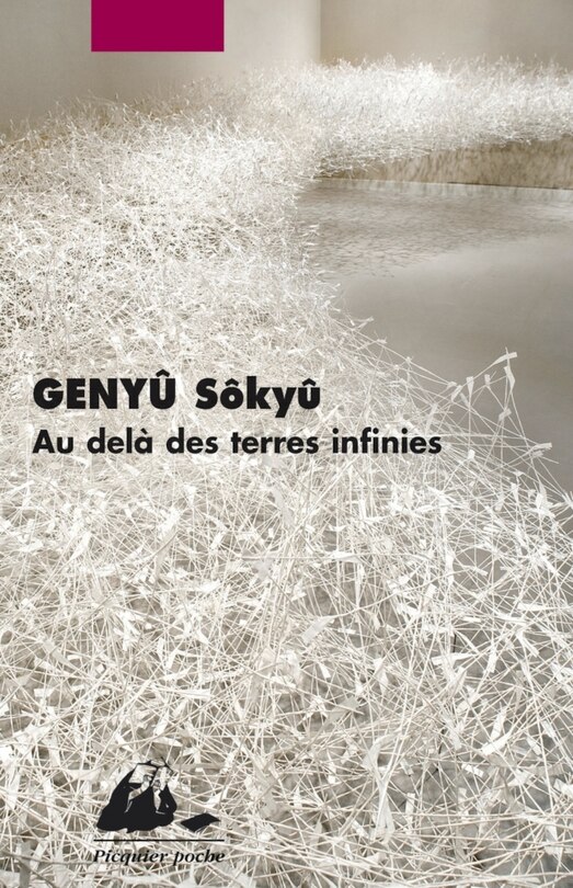Couverture_Au-delà des terres infinies