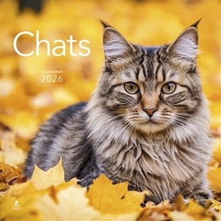 Couverture_Calendrier Chats 2026