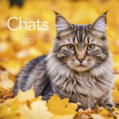 Couverture_Calendrier Chats 2026
