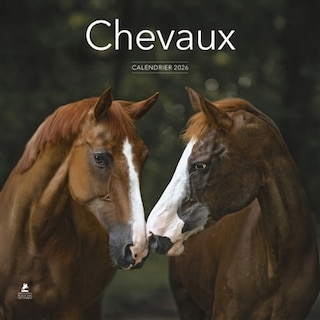 Couverture_Calendrier Chevaux 2026