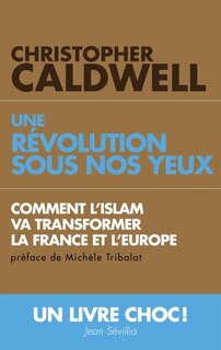 Front cover_Une révolution sous nos yeux : comment l'islam va transformer la France et l'Europe