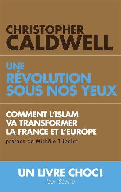Front cover_Une révolution sous nos yeux : comment l'islam va transformer la France et l'Europe