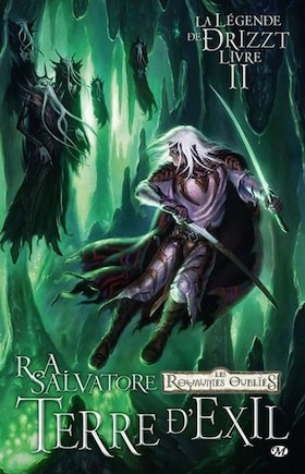 Légende De Drizzt La 2: Terre D'Exil