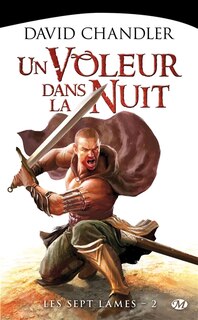 Front cover_Un voleur dans la nuit