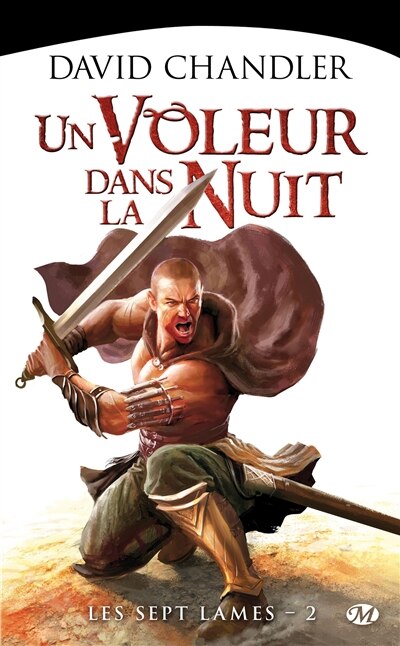 Front cover_Un voleur dans la nuit