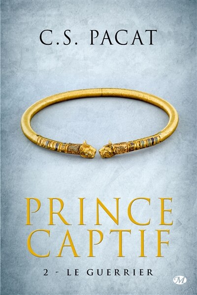 Couverture_Le guerrier