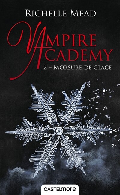 Front cover_Vampire Academy 2 Morsure de glace