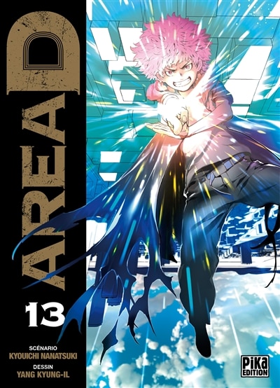 Couverture_AREA D T13