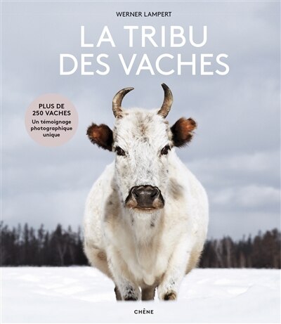 La tribu des vaches