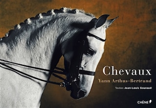 CHEVAUX  N.É.