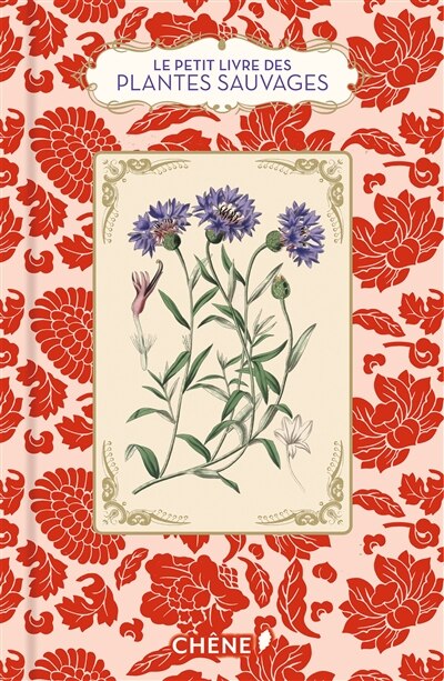 Couverture_Le petit livre des plantes sauvages