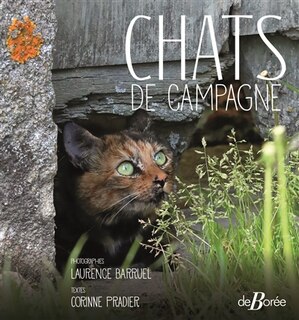 Front cover_Chats de campagne