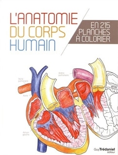 Front cover_Le corps humain : l'anatomie du corps humain en 215 planches à colorier