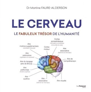 Couverture_Le cerveau