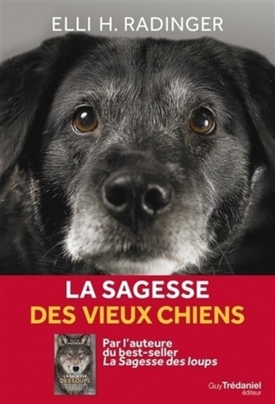 Front cover_La sagesse des vieux chiens