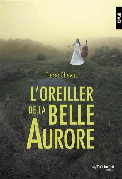 Couverture_L' oreiller de la belle Aurore