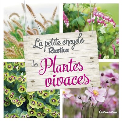 Front cover_La petite encyclo Rustica des plantes vivaces