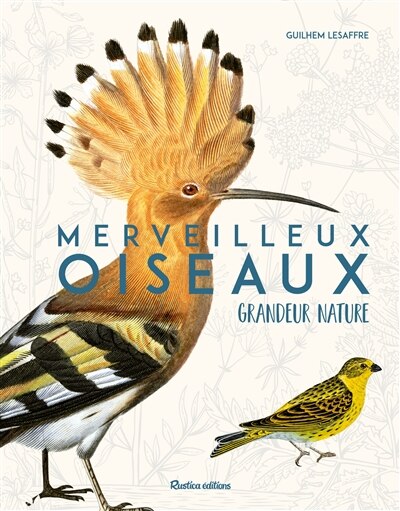 Couverture_Merveilleux oiseaux grandeur nature