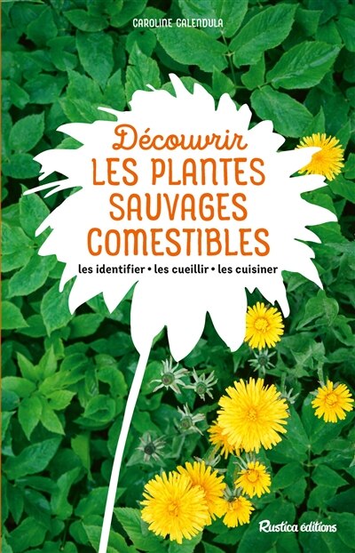 Couverture_Découvrir les plantes sauvages comestibles