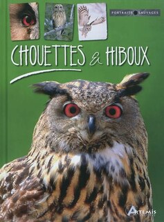 Couverture_Chouettes & hiboux