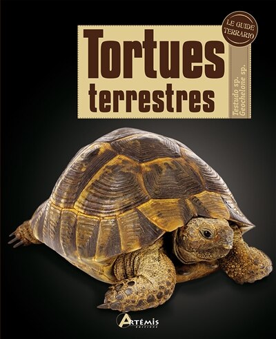Front cover_Tortues terrestres : testudo sp, geochelone sp