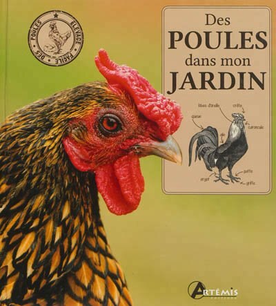 Couverture_Des poules dans mon jardin